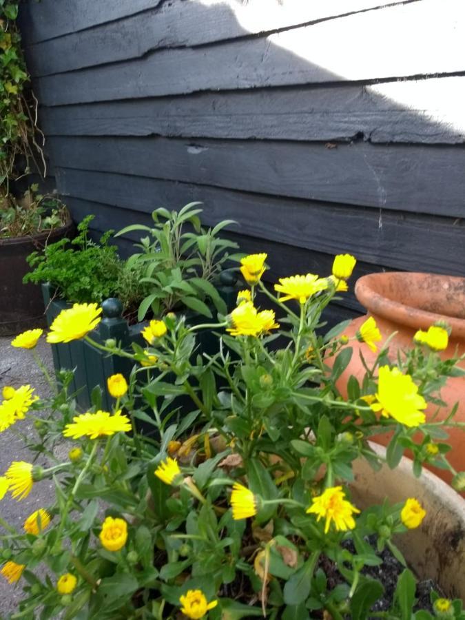 Cosy, Dog Friendly House On The Fringe Of The Brecon Beacons Villa Tredegar ภายนอก รูปภาพ